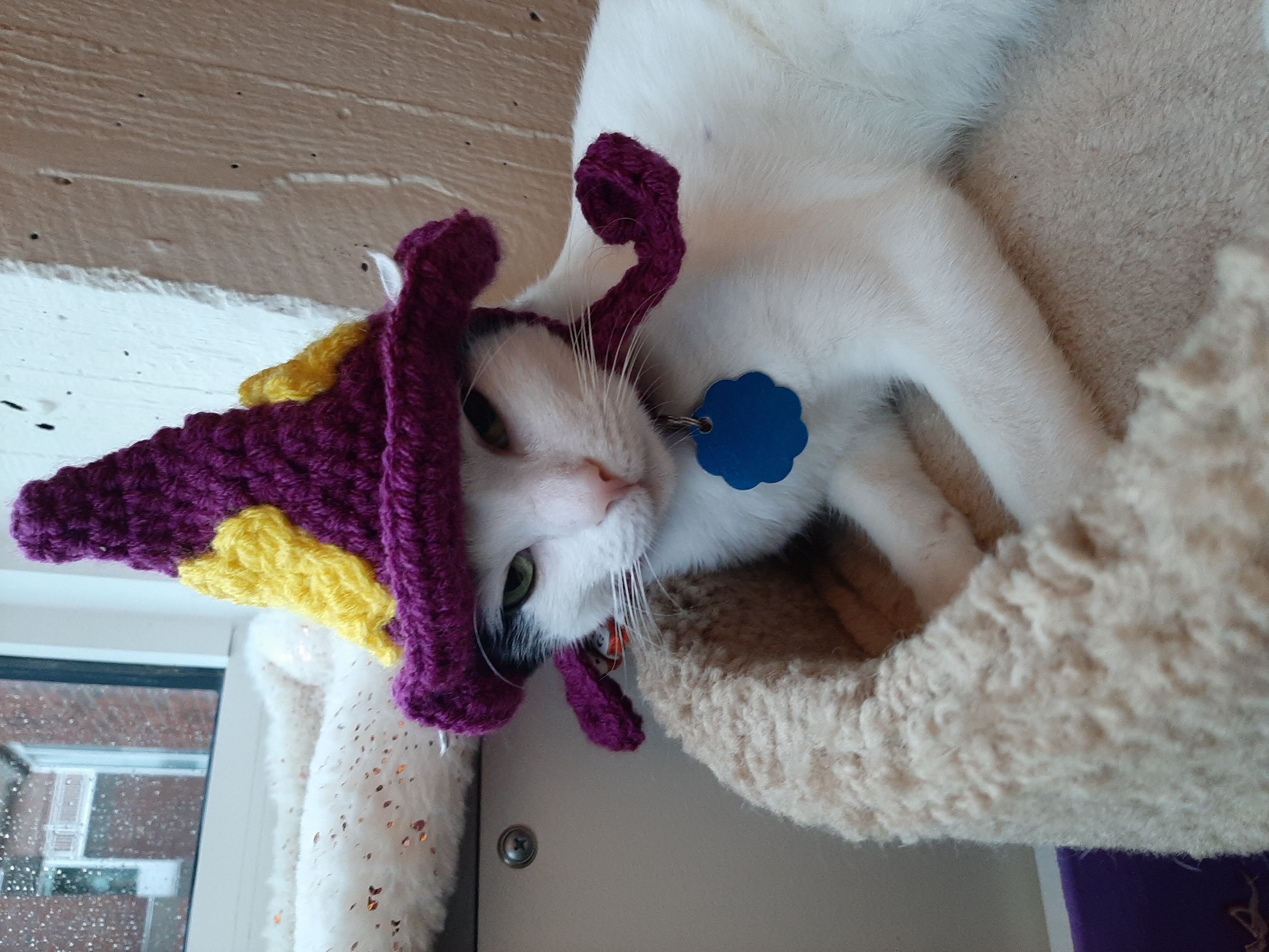 Crochet Cat Hats project image