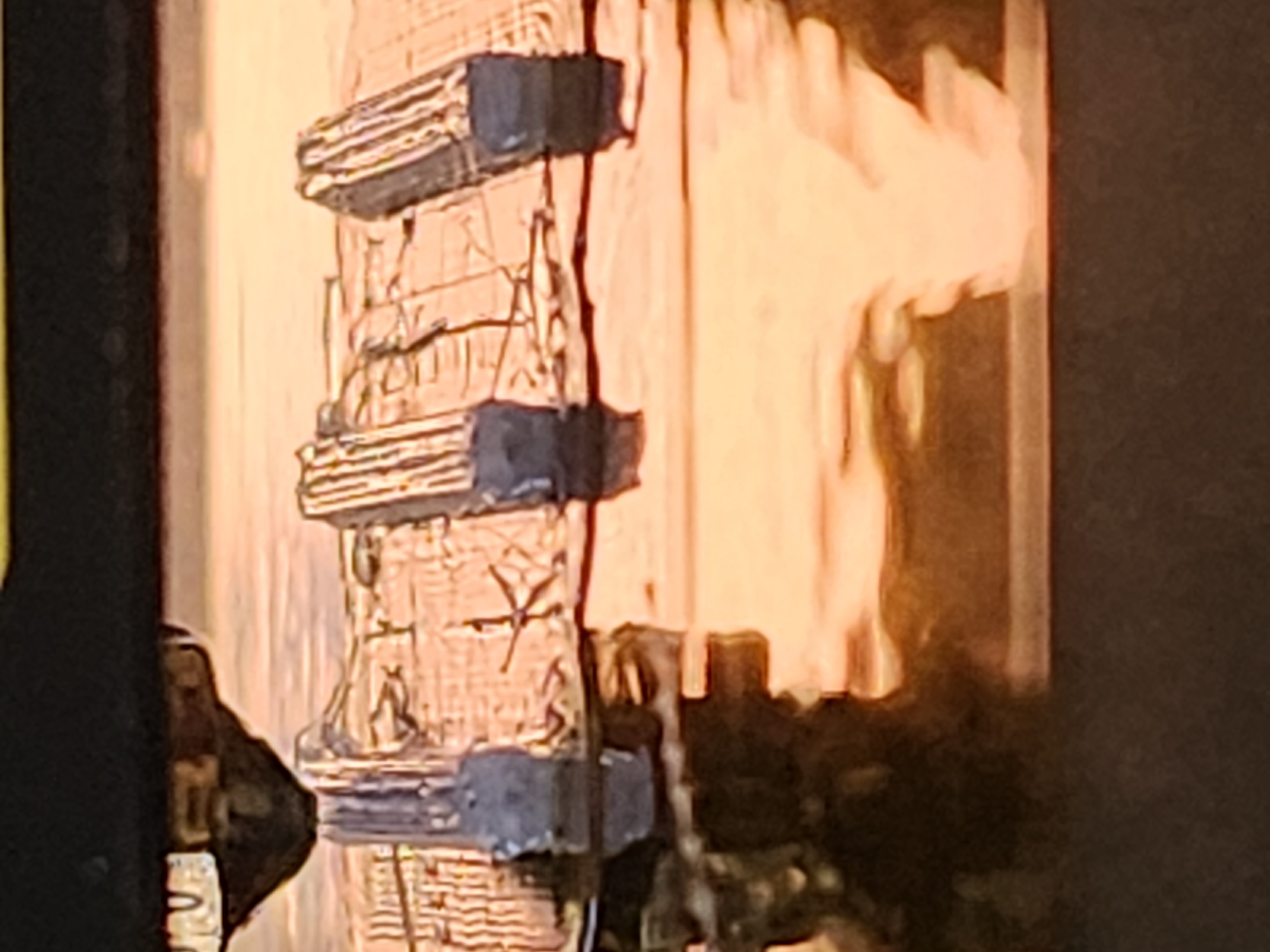 3D Printed Ocular Nerve Conduits project image