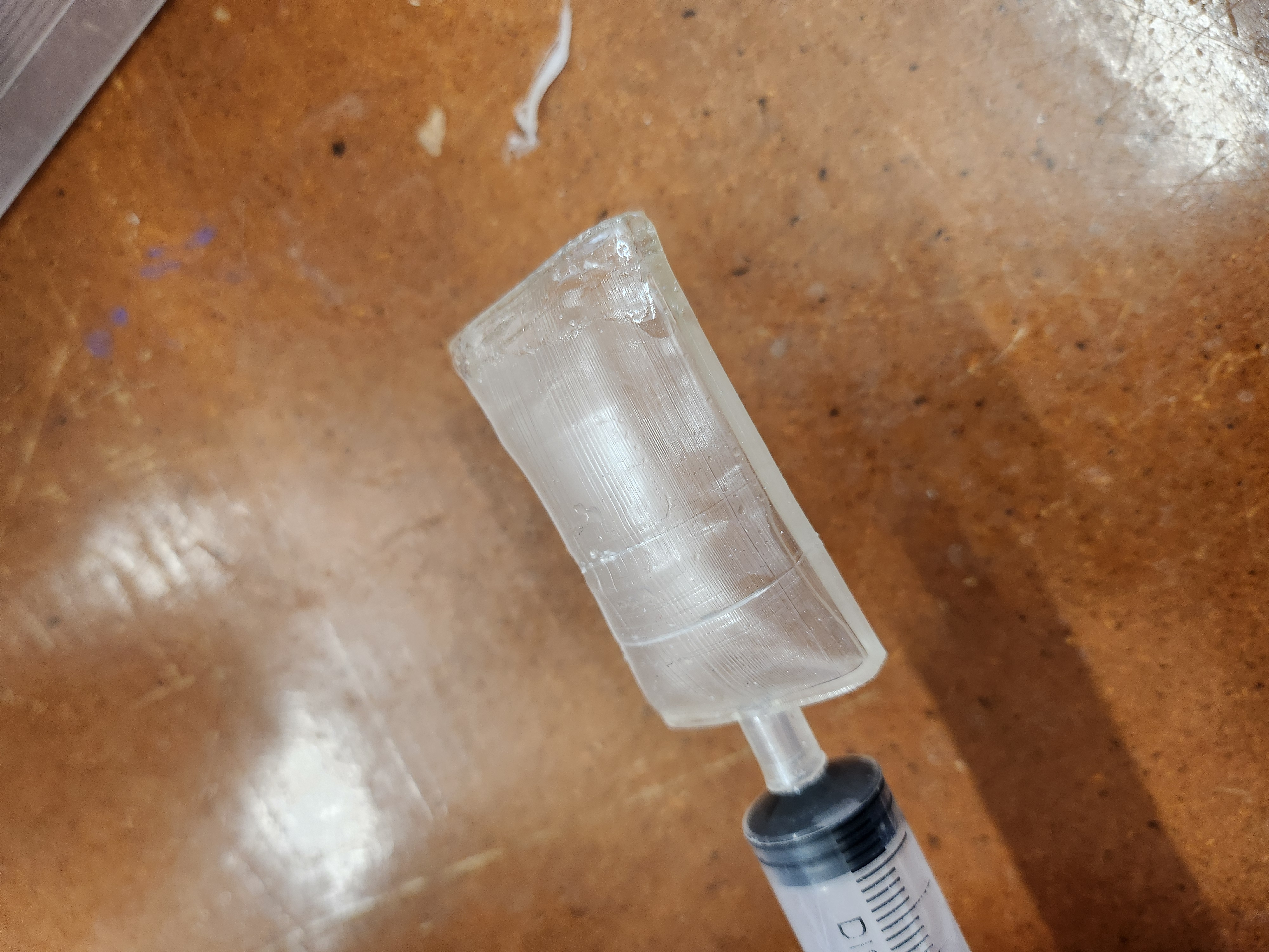 3D Printed Bladder project image